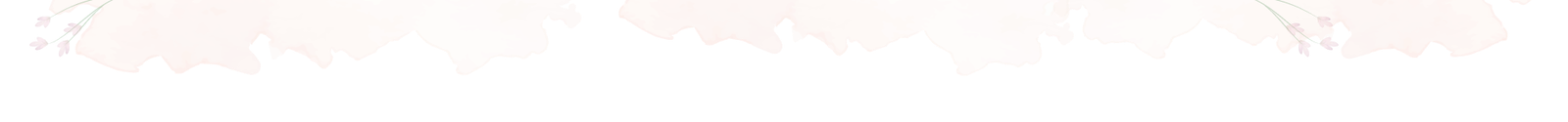 DSO